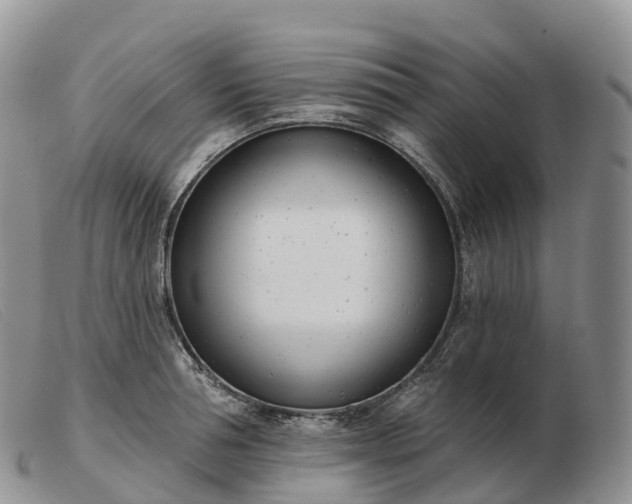 X0000103460994200809191807