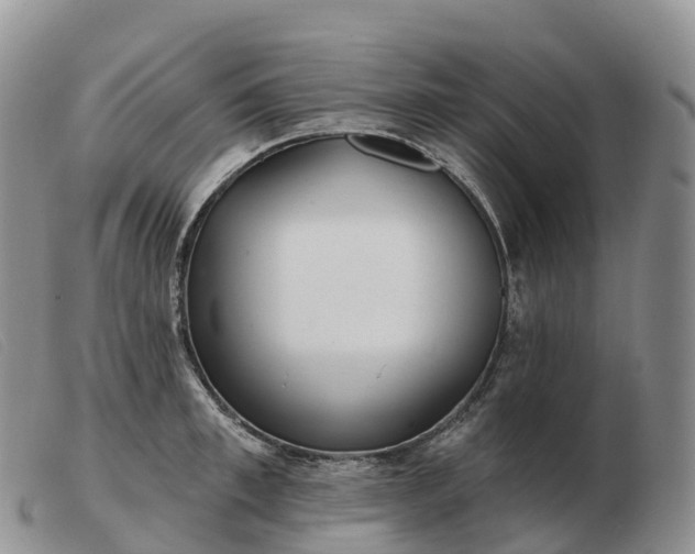 X0000103460997200809191807