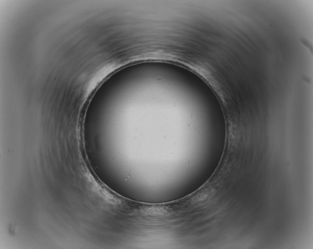 X0000103460998200809191807