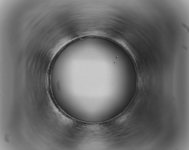 X0000103460999200809191807