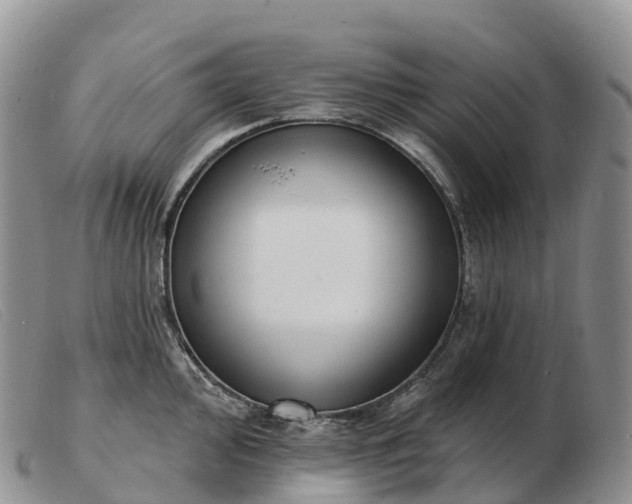 X0000103461000200809191807