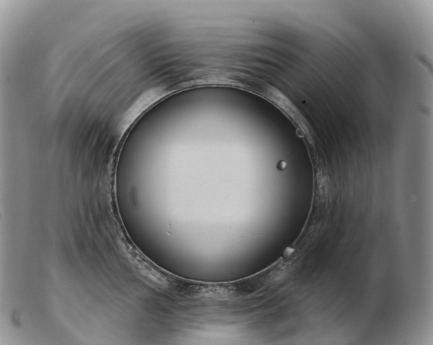 X0000103461002200809191807