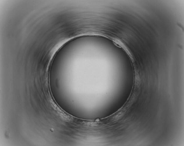 X0000103461004200809191807