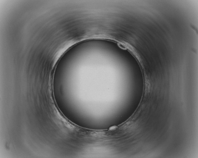 X0000103461006200809191807