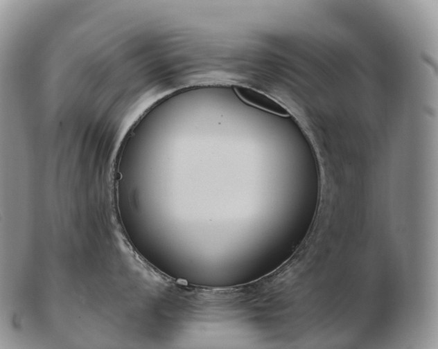 X0000103461008200809191807