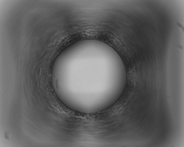 X0000103461009200809191806