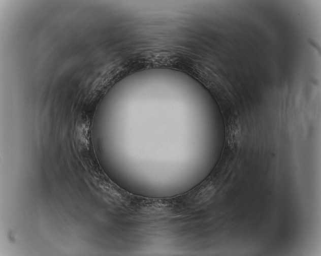 X0000103461010200809191806