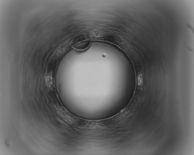 X0000103461011200809191806