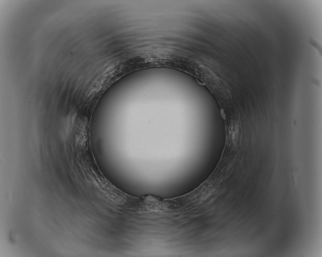 X0000103461012200809191806