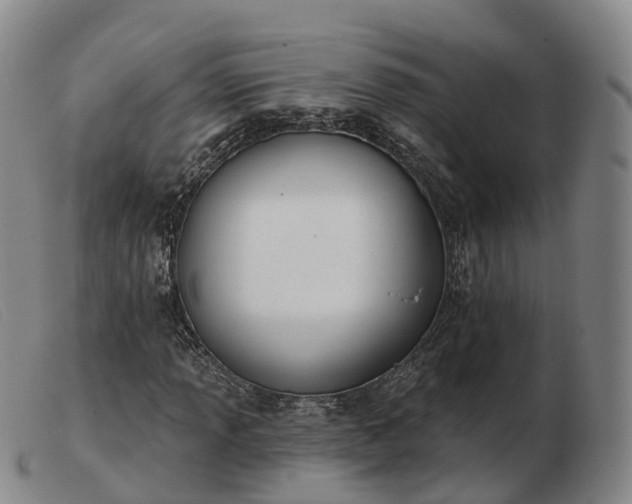 X0000103461013200809191806