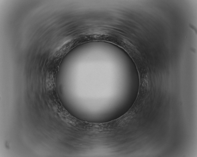 X0000103461014200809191806