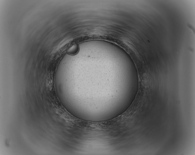X0000103461015200809191806