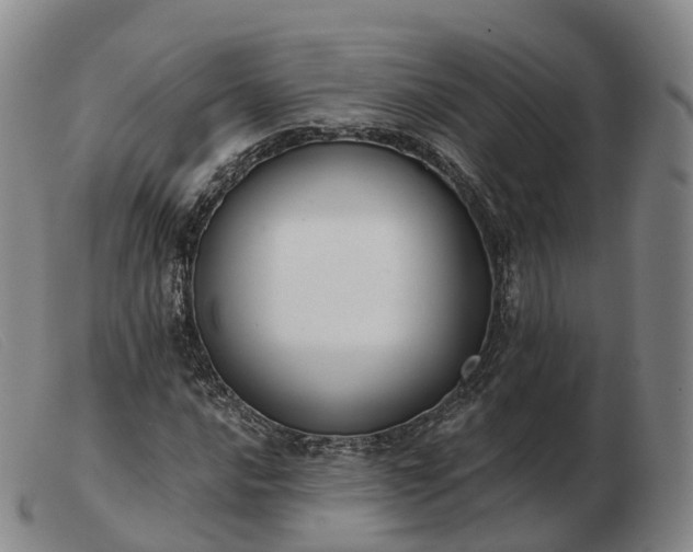 X0000103461016200809191806