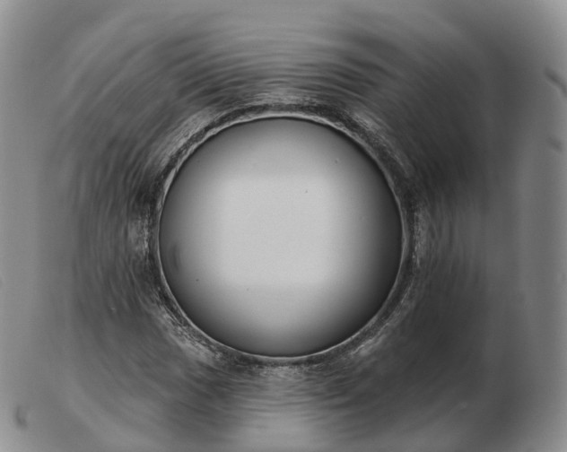 X0000103461017200809191806