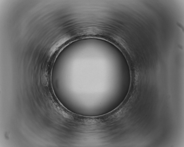 X0000103461018200809191807