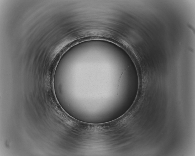 X0000103461019200809191807