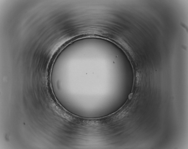 X0000103461020200809191807