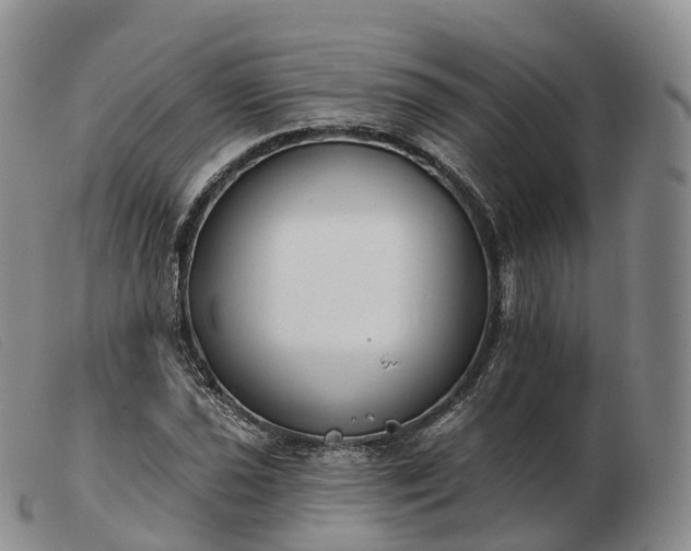 X0000103461021200809191807