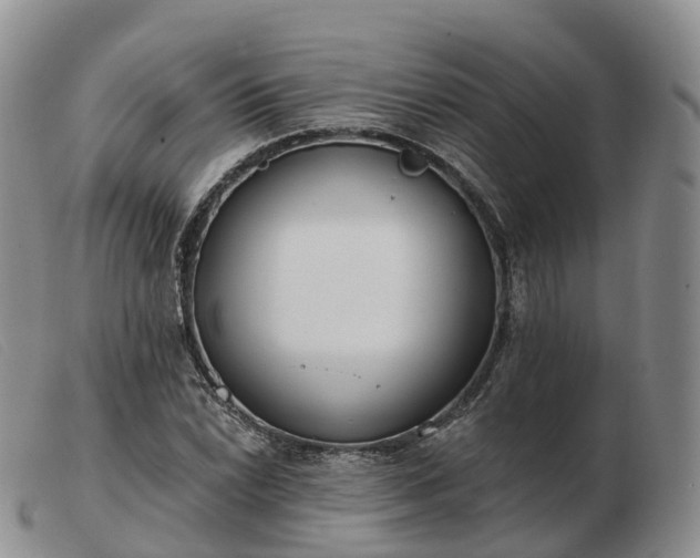X0000103461022200809191807