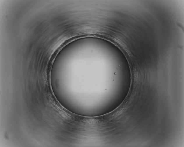 X0000103461023200809191807
