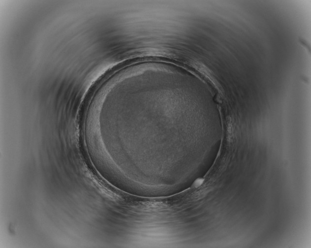 X0000103461024200809191807