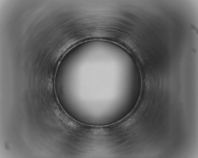 X0000103461025200809191807