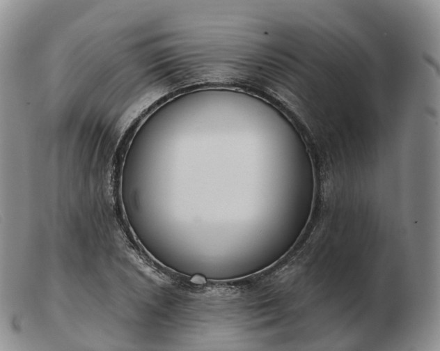 X0000103461026200809191807