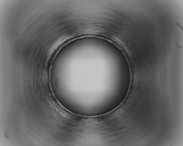 X0000103461027200809191807