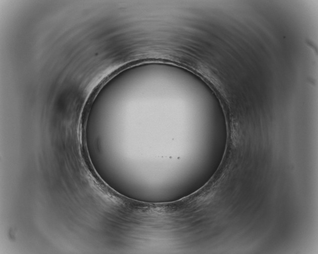 X0000103461028200809191807