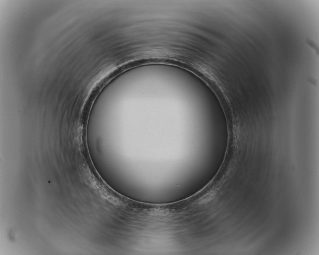 X0000103461029200809191807