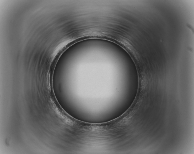 X0000103461030200809191807