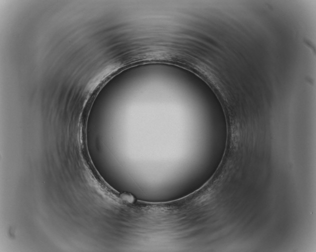 X0000103461034200809191807