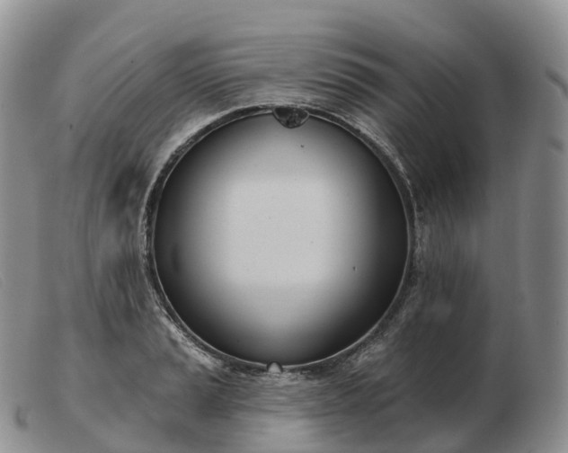 X0000103461037200809191807