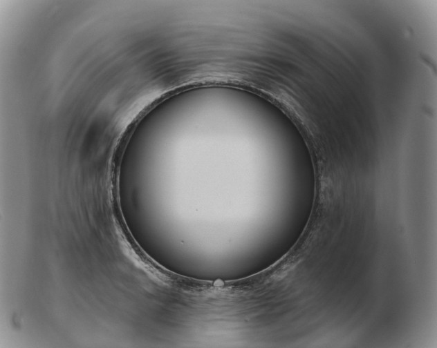 X0000103461038200809191807