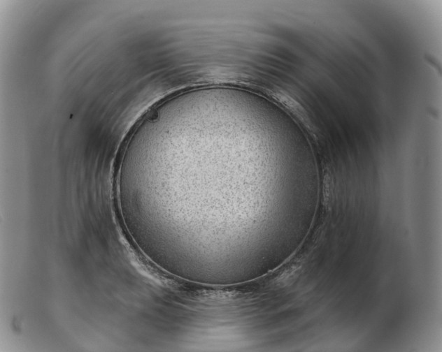 X0000103461039200809191807