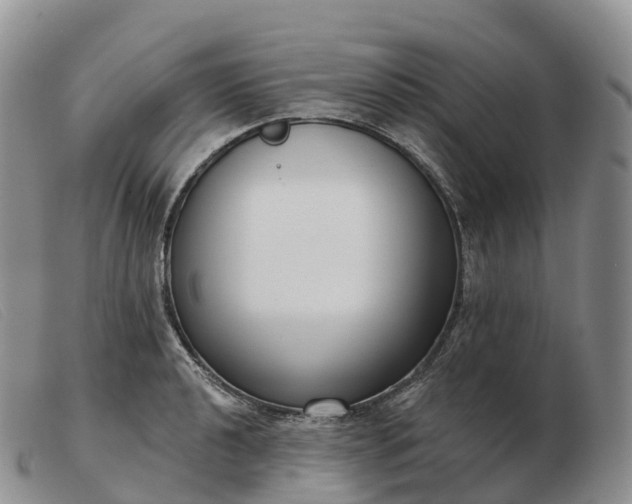 X0000103461040200809191807