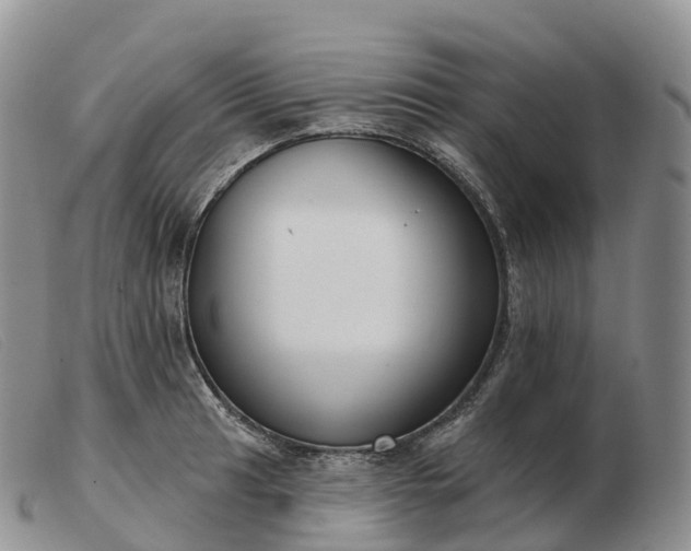 X0000103461041200809191807
