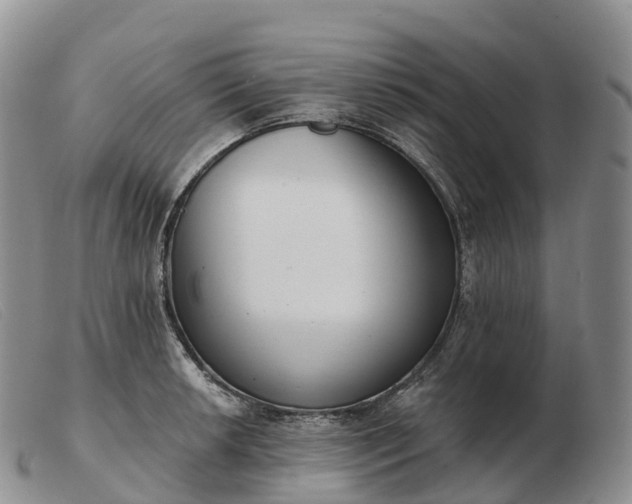 X0000103461042200809191807