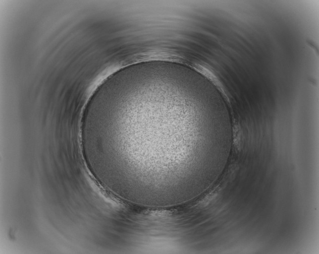 X0000103461043200809191807