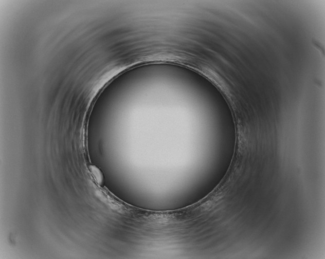 X0000103461044200809191807