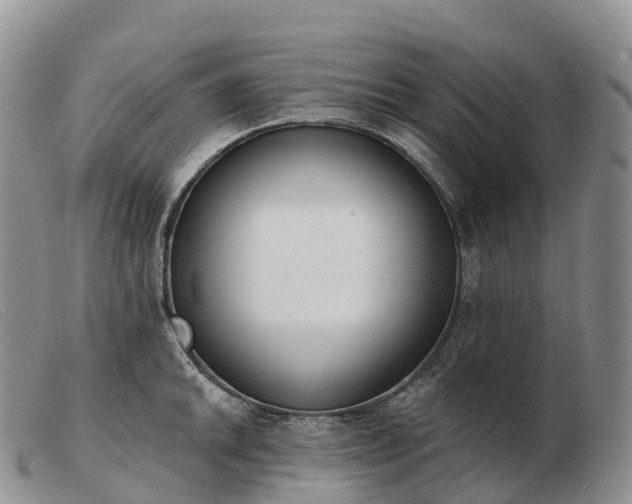 X0000103461046200809191807