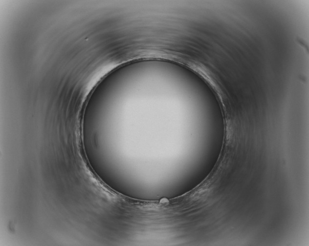 X0000103461048200809191807