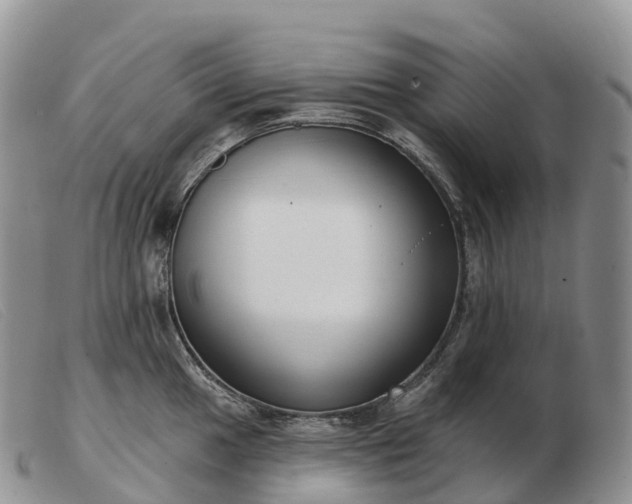 X0000103461049200809191807