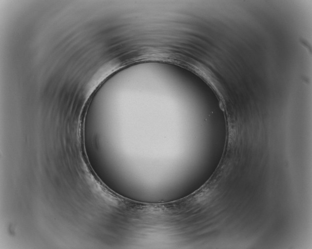 X0000103461050200809191807
