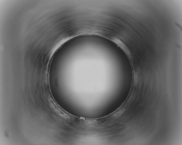 X0000103461052200809191807