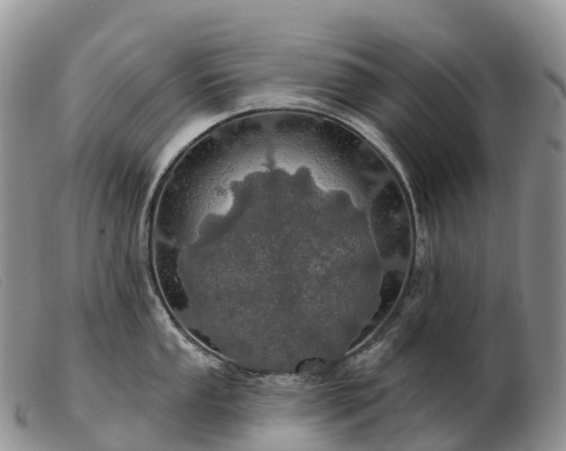 X0000103461053200809191807