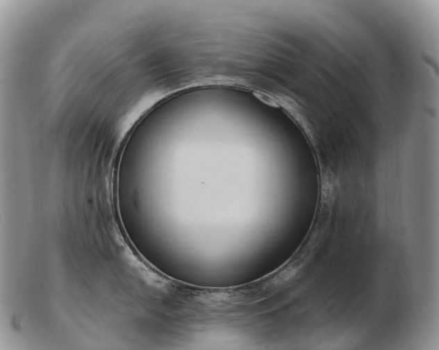 X0000103461054200809191807