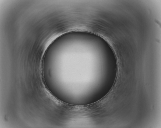 X0000103461056200809191807
