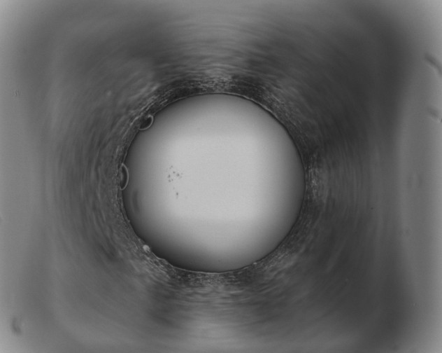 X0000103461057200809191806