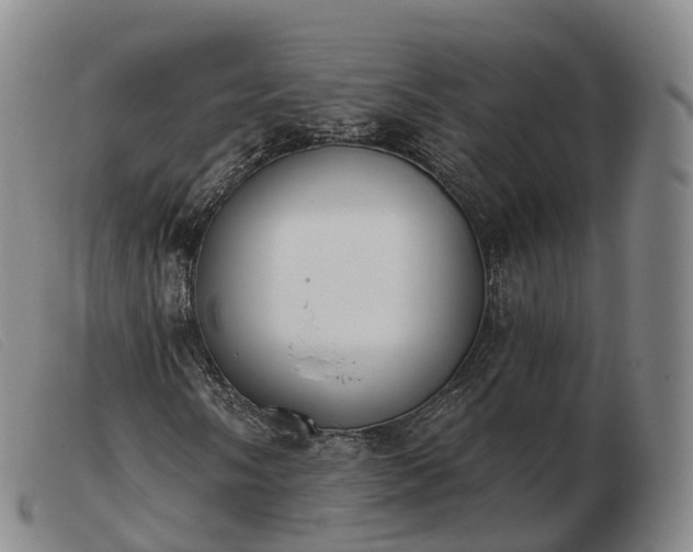 X0000103461058200809191806